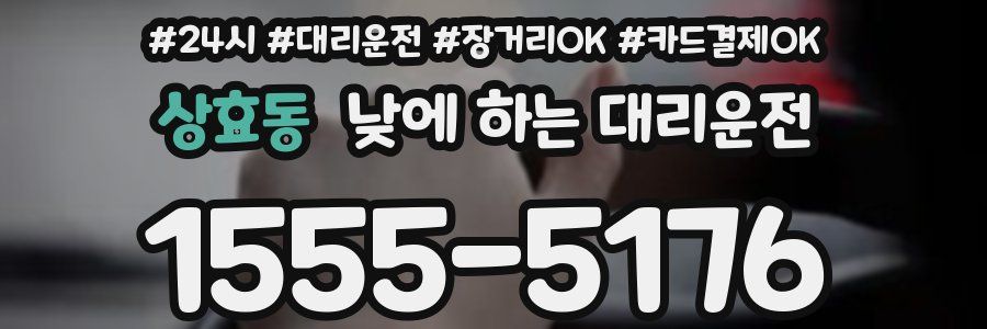 상효동 낮에 하는 대리운전