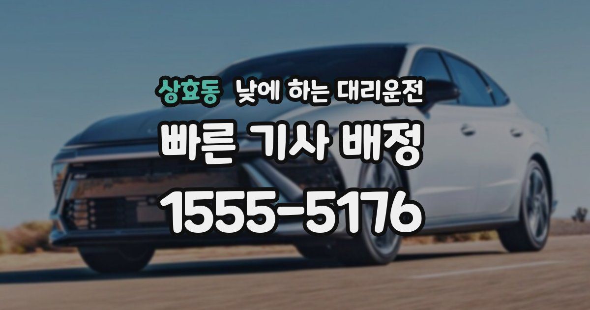 상효동 낮에 하는 대리운전