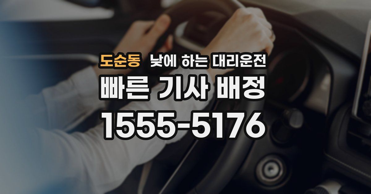 도순동 낮에 하는 대리운전