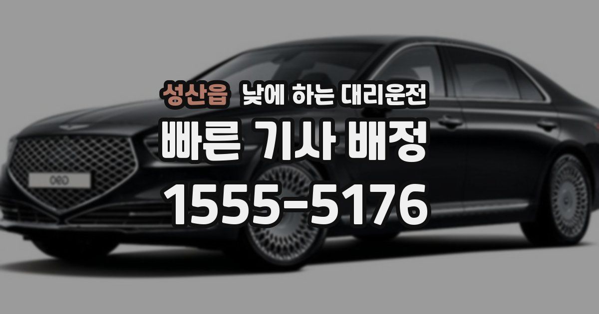 성산읍 낮에 하는 대리운전