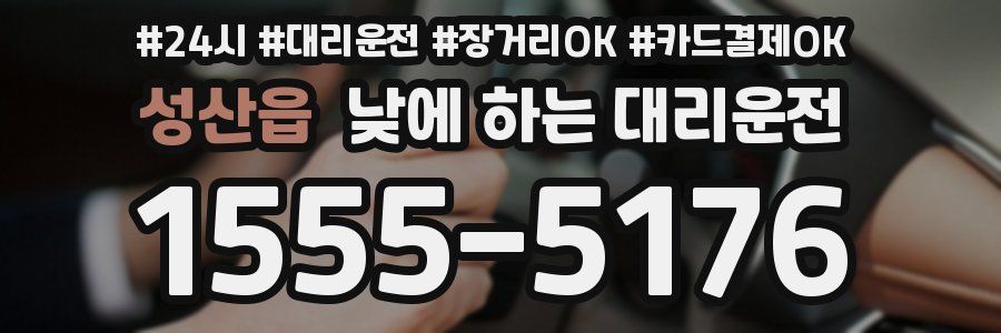성산읍 낮에 하는 대리운전