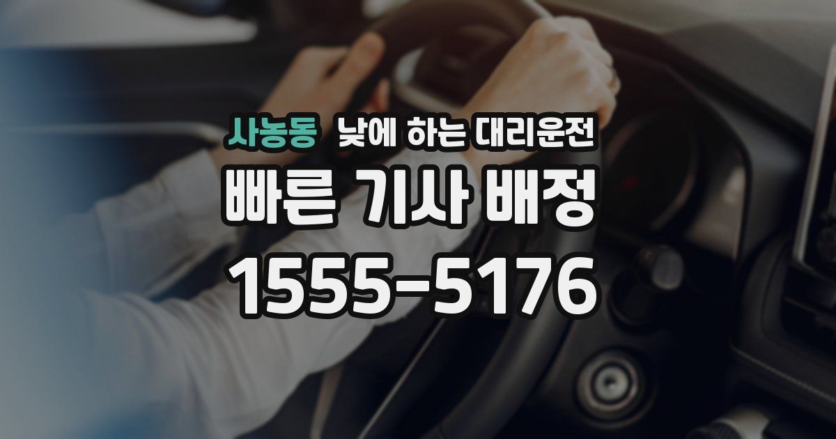 사농동 낮에 하는 대리운전