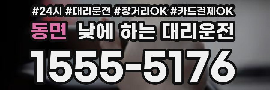 동면 낮에 하는 대리운전