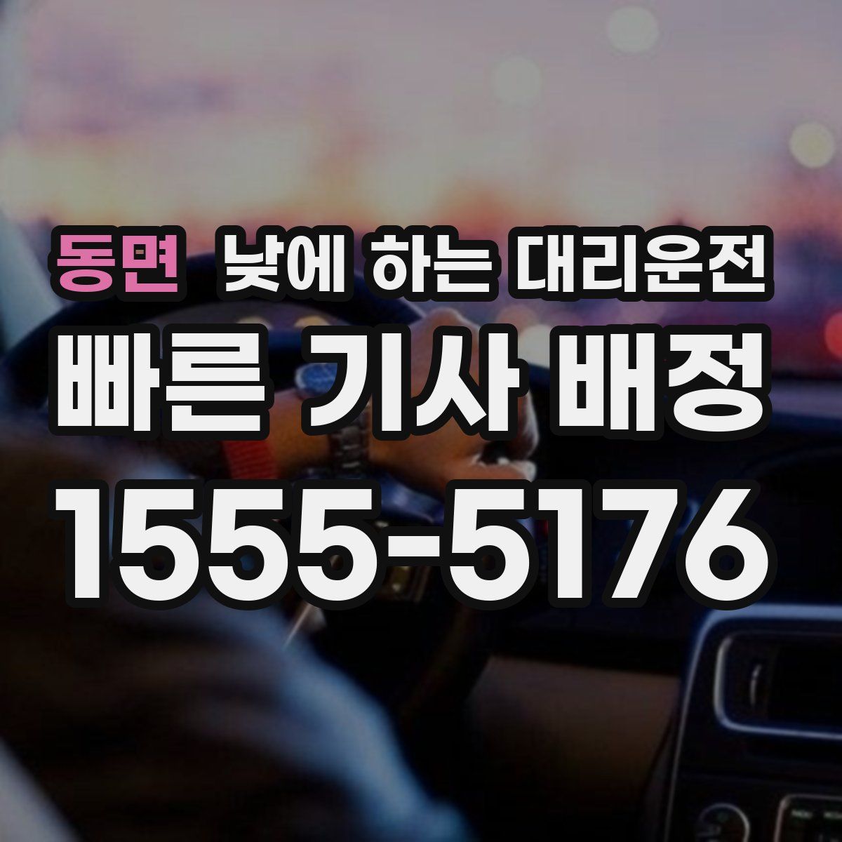 동면 낮에 하는 대리운전