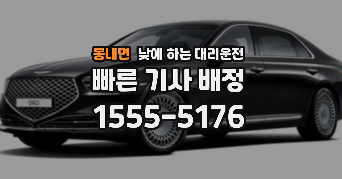 동내면 낮에 하는 대리운전