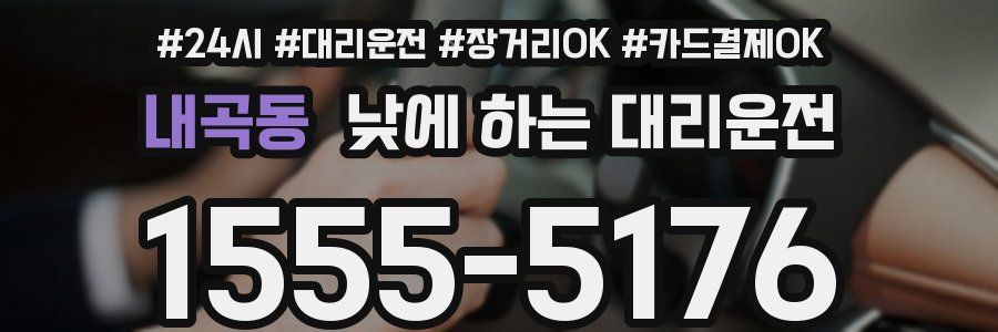 내곡동 낮에 하는 대리운전