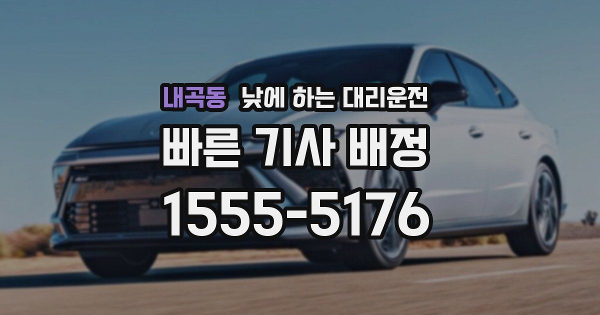 내곡동 낮에 하는 대리운전