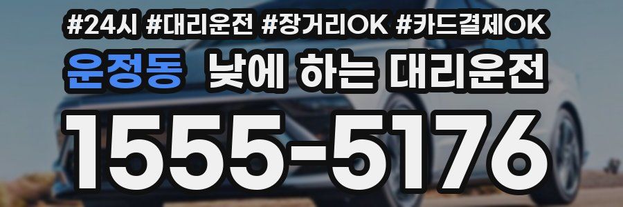 운정동 낮에 하는 대리운전