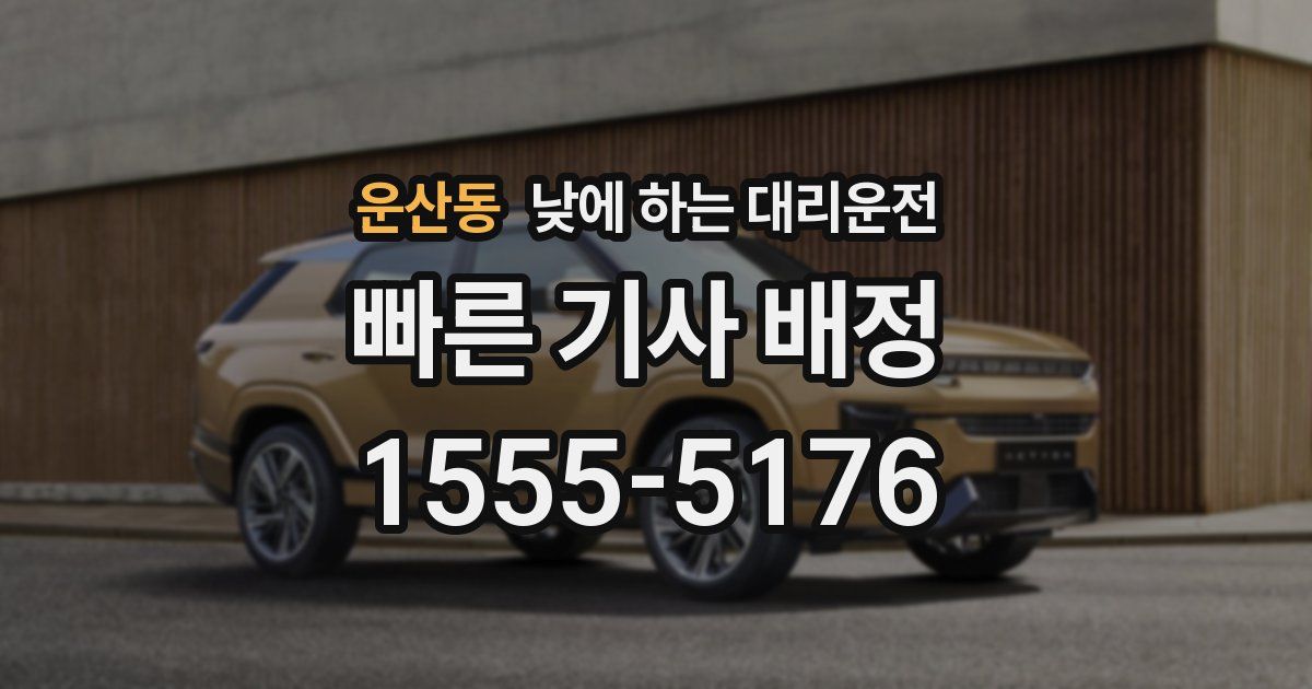 운산동 낮에 하는 대리운전