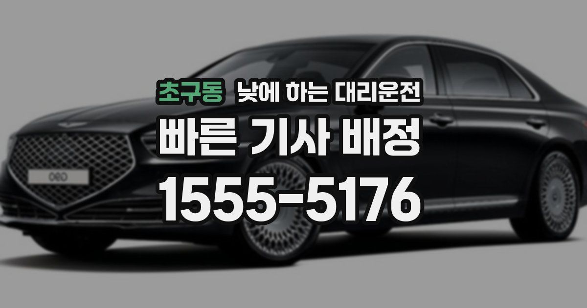 초구동 낮에 하는 대리운전