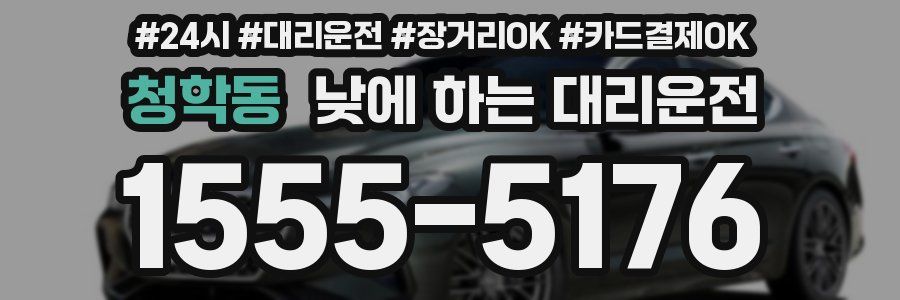 청학동 낮에 하는 대리운전