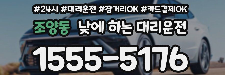 조양동 낮에 하는 대리운전