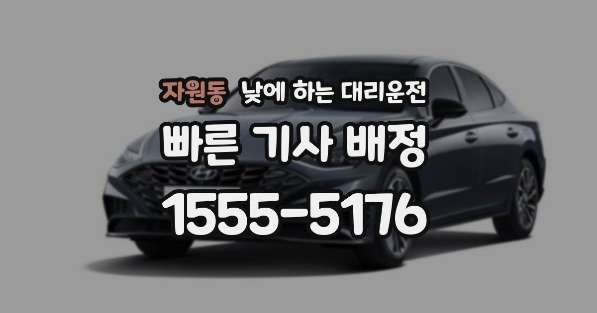 자원동 낮에 하는 대리운전