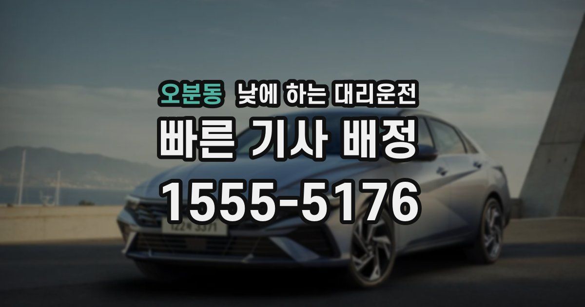 오분동 낮에 하는 대리운전