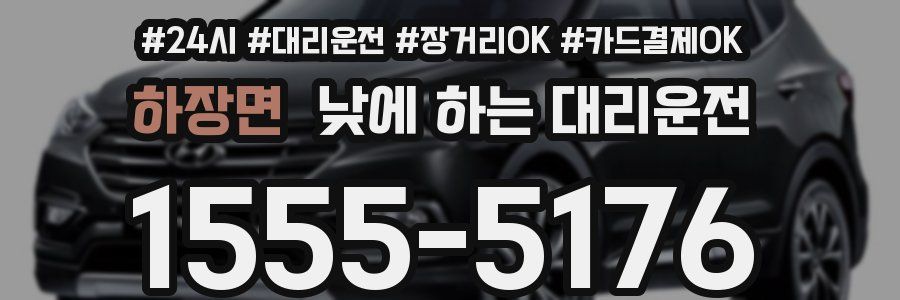하장면 낮에 하는 대리운전