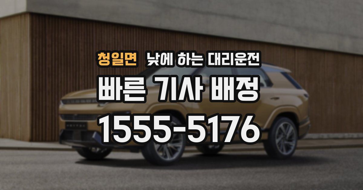 청일면 낮에 하는 대리운전