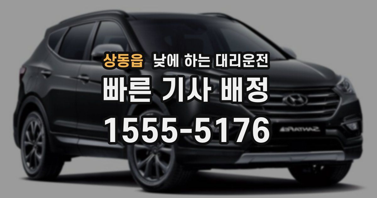 상동읍 낮에 하는 대리운전