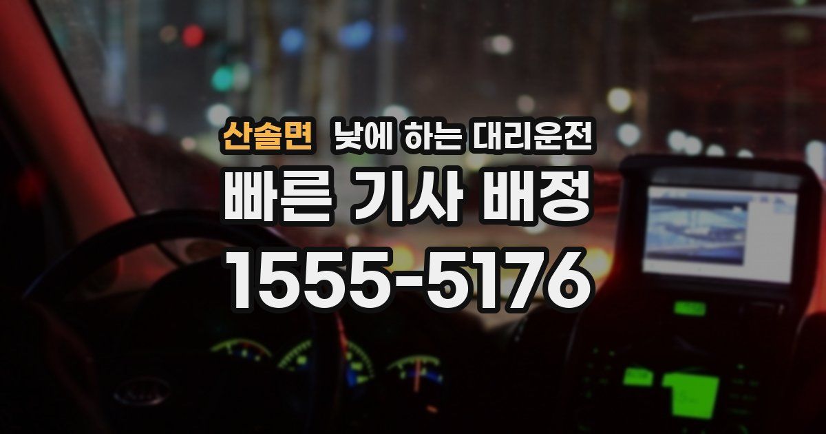 산솔면 낮에 하는 대리운전