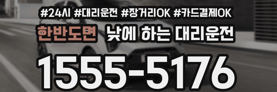 한반도면 낮에 하는 대리운전