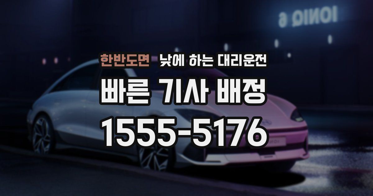 한반도면 낮에 하는 대리운전