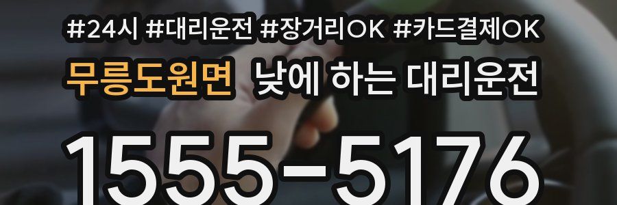 무릉도원면 낮에 하는 대리운전