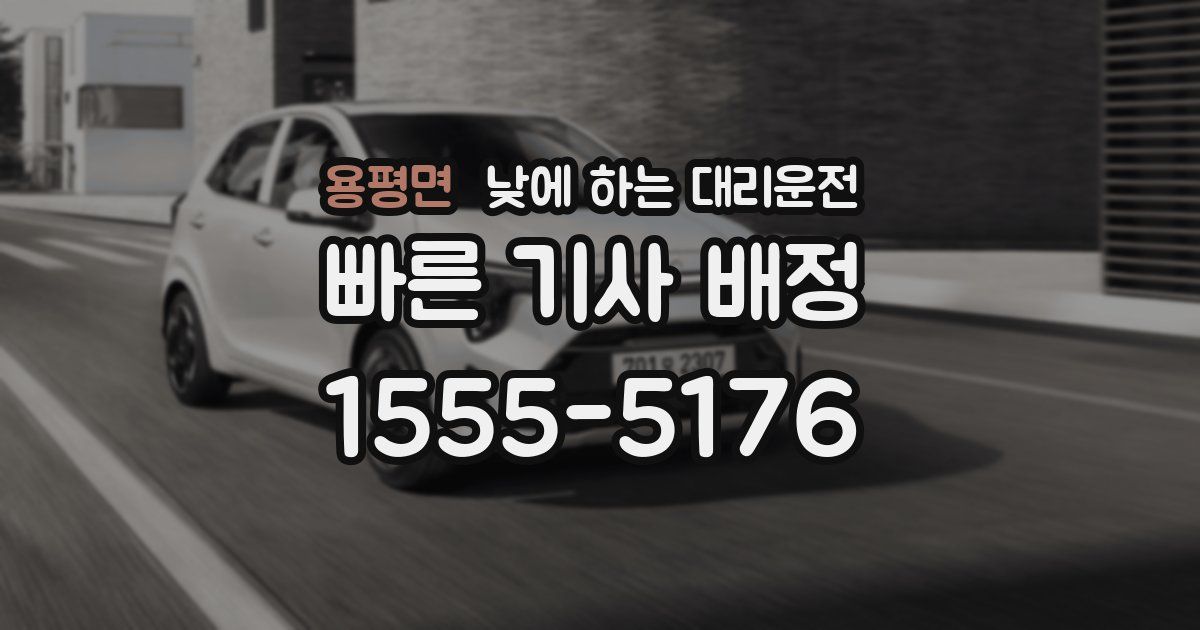 용평면 낮에 하는 대리운전