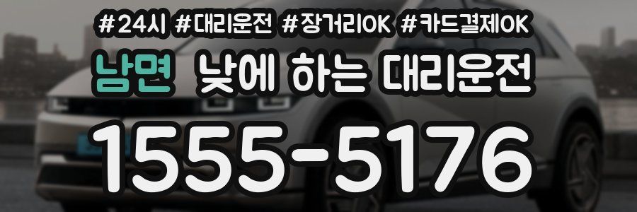 남면 낮에 하는 대리운전