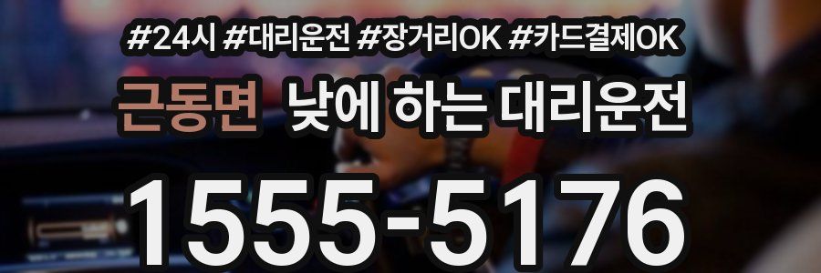 근동면 낮에 하는 대리운전