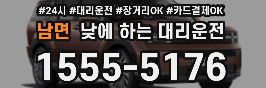 남면 낮에 하는 대리운전