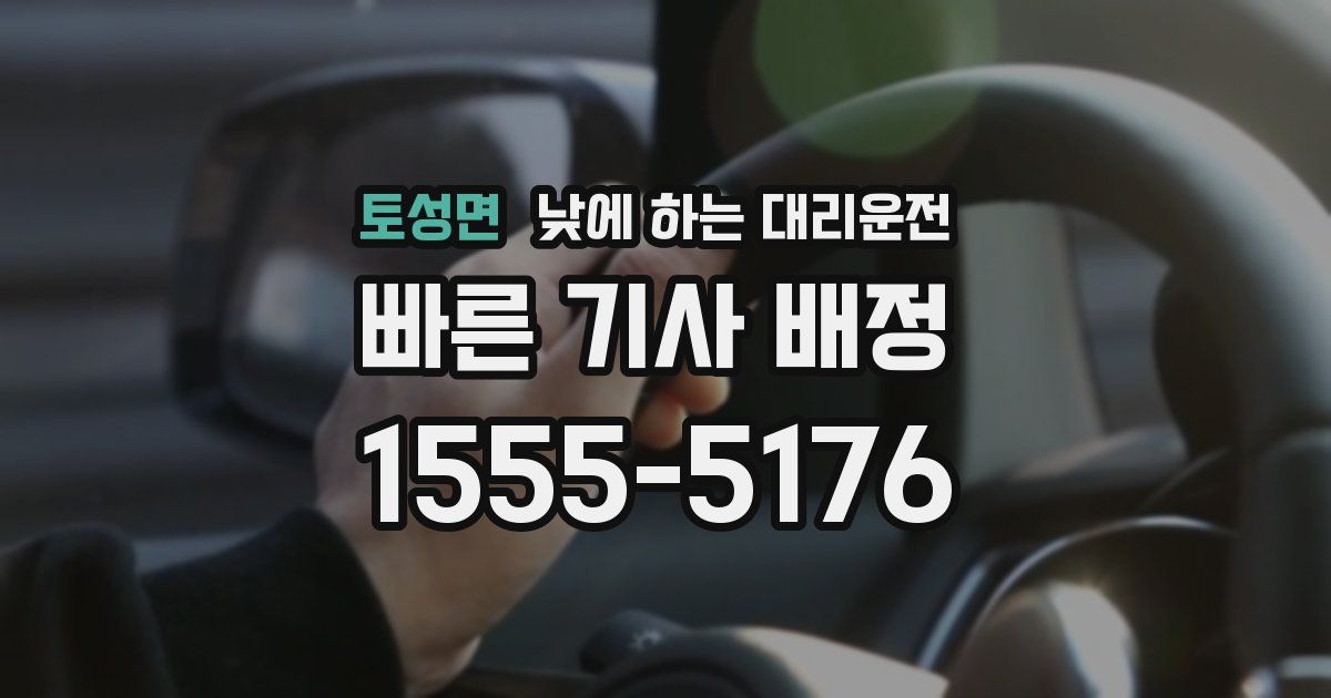 토성면 낮에 하는 대리운전