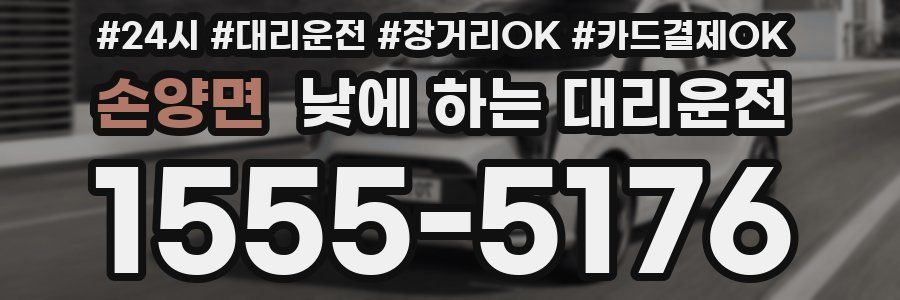 손양면 낮에 하는 대리운전