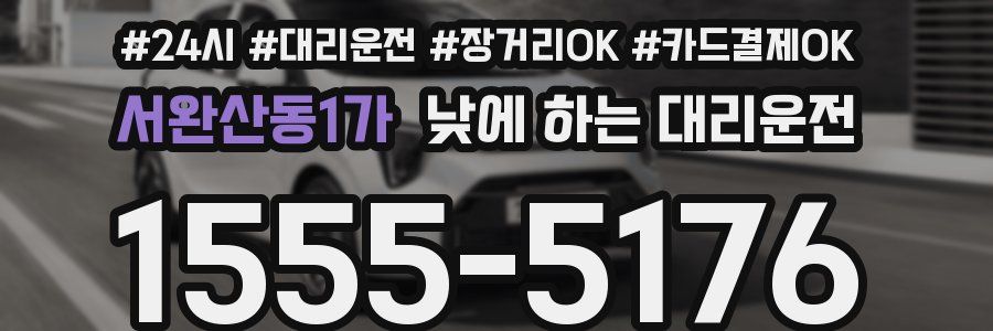 서완산동1가 낮에 하는 대리운전