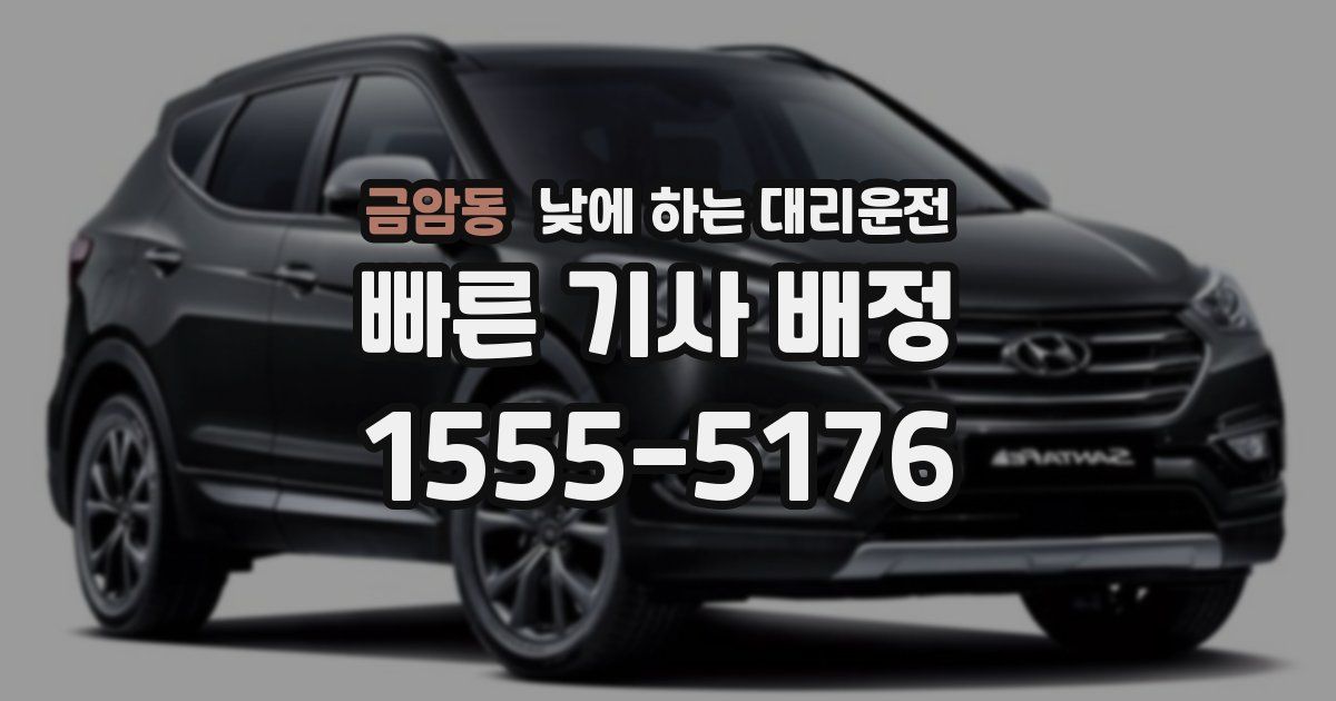 금암동 낮에 하는 대리운전