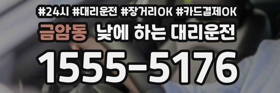 금암동 낮에 하는 대리운전