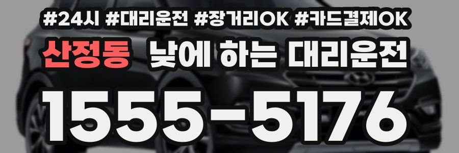 산정동 낮에 하는 대리운전