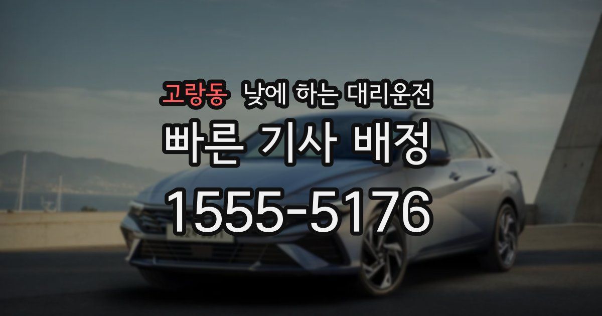 고랑동 낮에 하는 대리운전