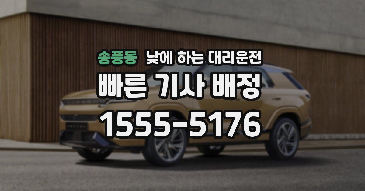 송풍동 낮에 하는 대리운전