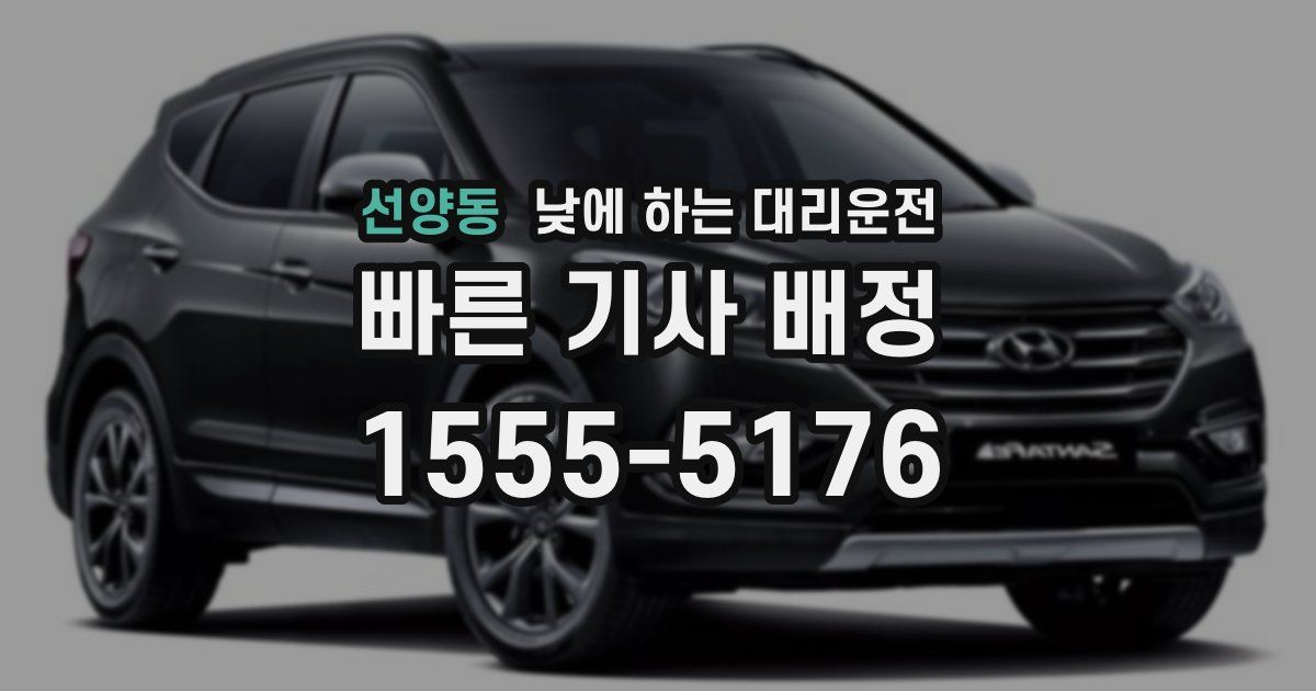 선양동 낮에 하는 대리운전