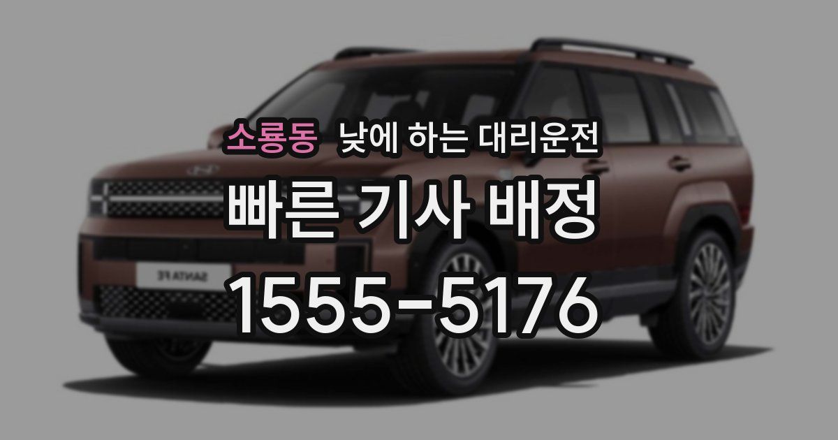 소룡동 낮에 하는 대리운전