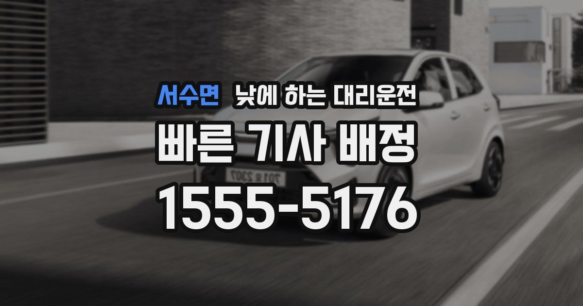 서수면 낮에 하는 대리운전