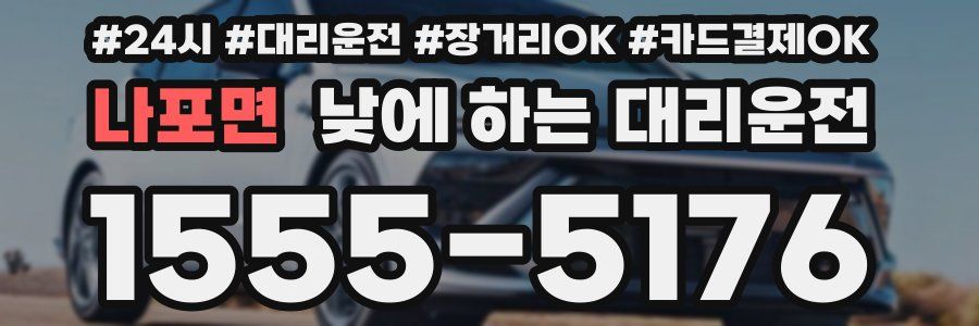 나포면 낮에 하는 대리운전