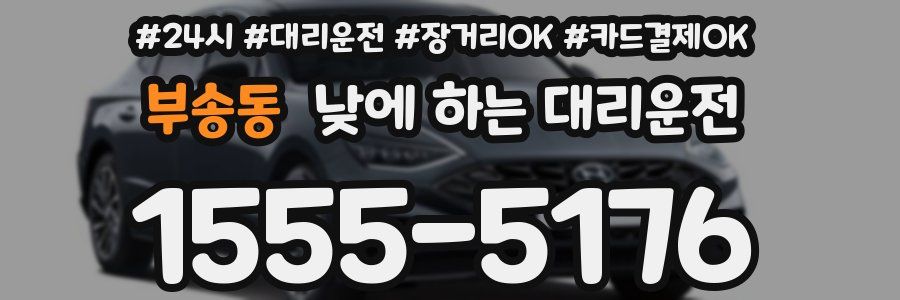 부송동 낮에 하는 대리운전