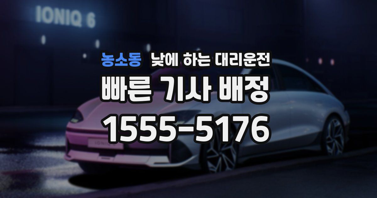 농소동 낮에 하는 대리운전