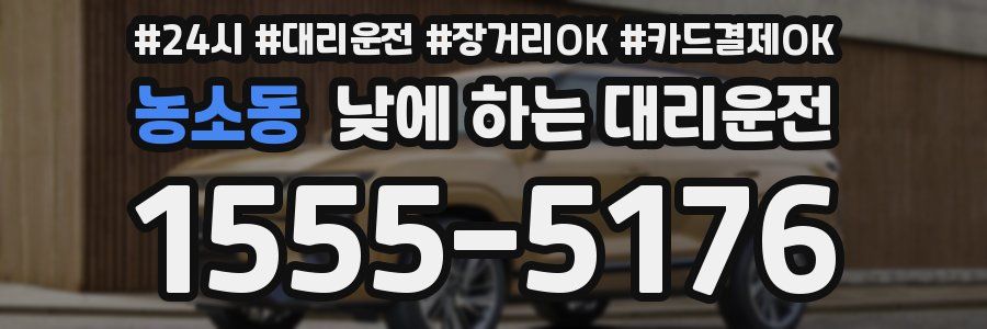 농소동 낮에 하는 대리운전