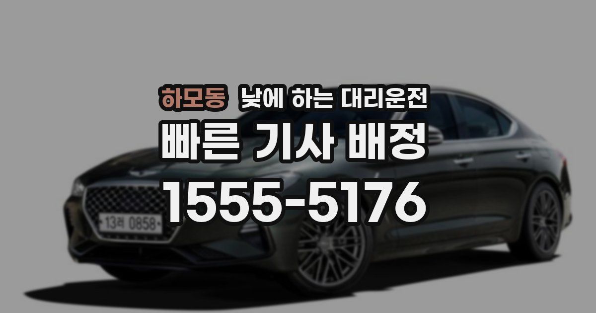 하모동 낮에 하는 대리운전