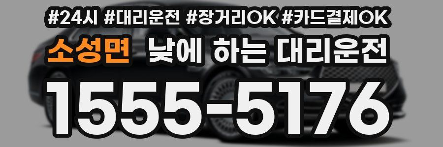 소성면 낮에 하는 대리운전