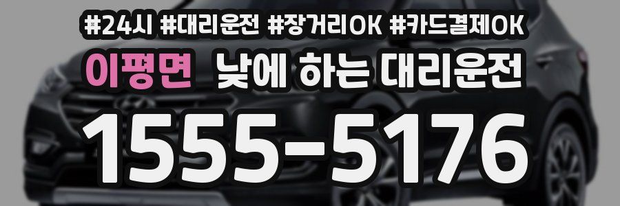 이평면 낮에 하는 대리운전