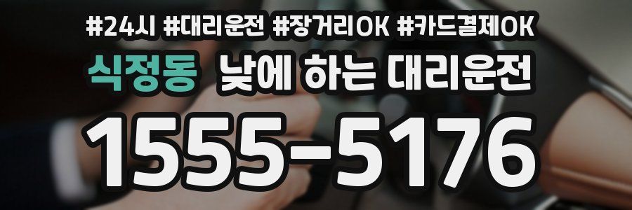 식정동 낮에 하는 대리운전