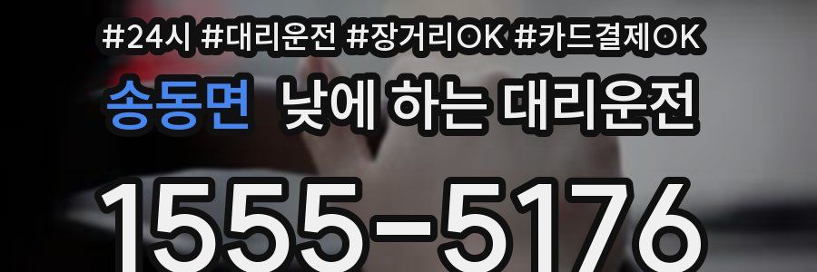 송동면 낮에 하는 대리운전