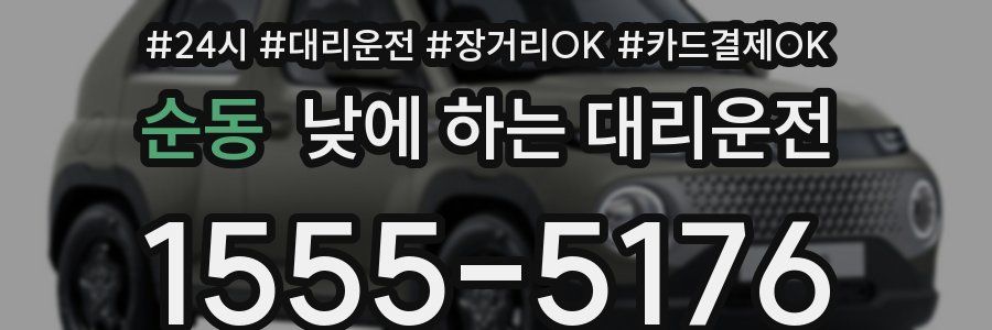 순동 낮에 하는 대리운전